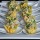 Crab 'n Lime Avocado Salad in Parmesan Crisp Cups